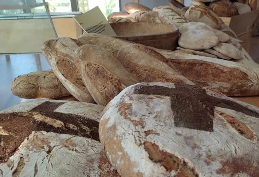 La panadería Hermanos Fernández de Córdoba crea dos panes medievales con ayuda de la UCO