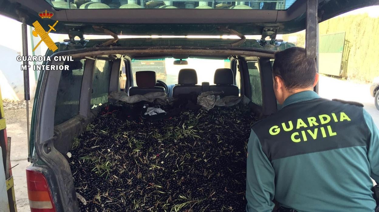 Un vehículo cargado de acitunas registrado por los agentes especializados de Roca