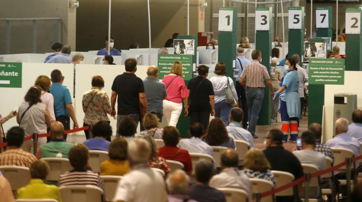 Puntos de vacunación en el Estadio de la Cartuja de Sevilla