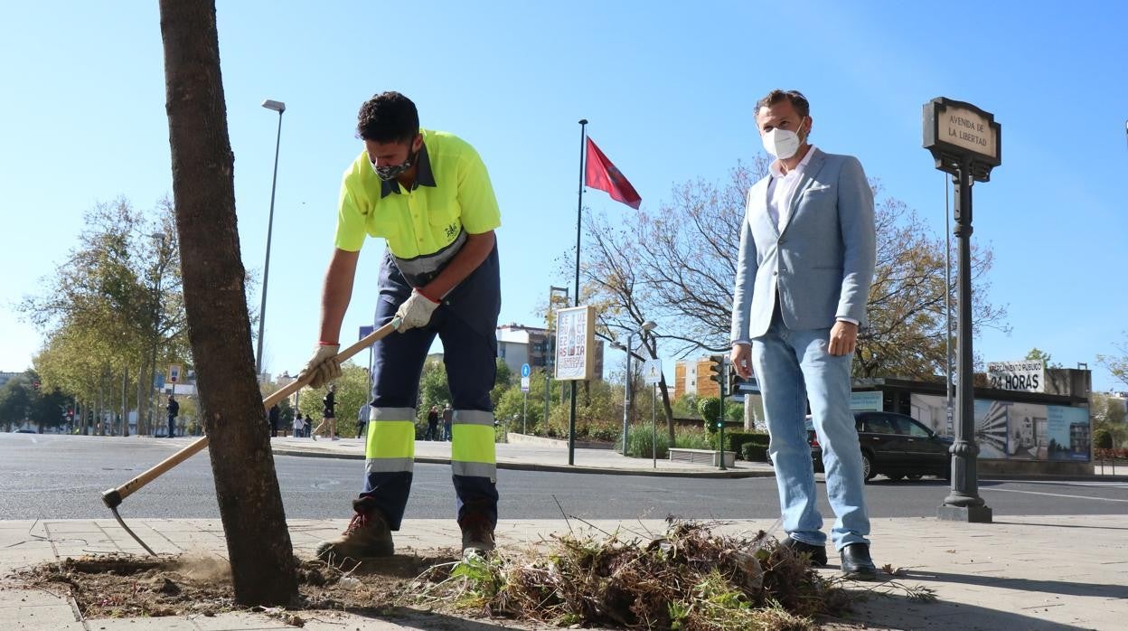 David Dorado junto a un operario municipal en una limpieza de alcorques