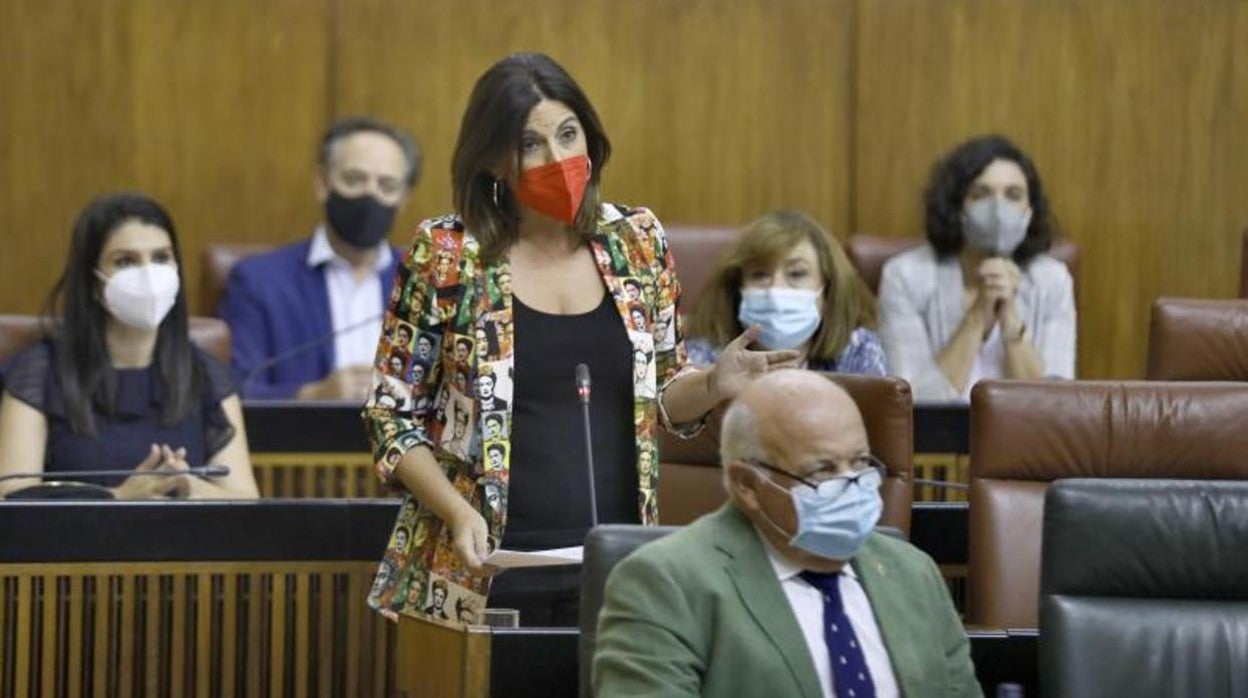 La nueva portavoz del PSOE en el Parlamento, Ángeles Férriz