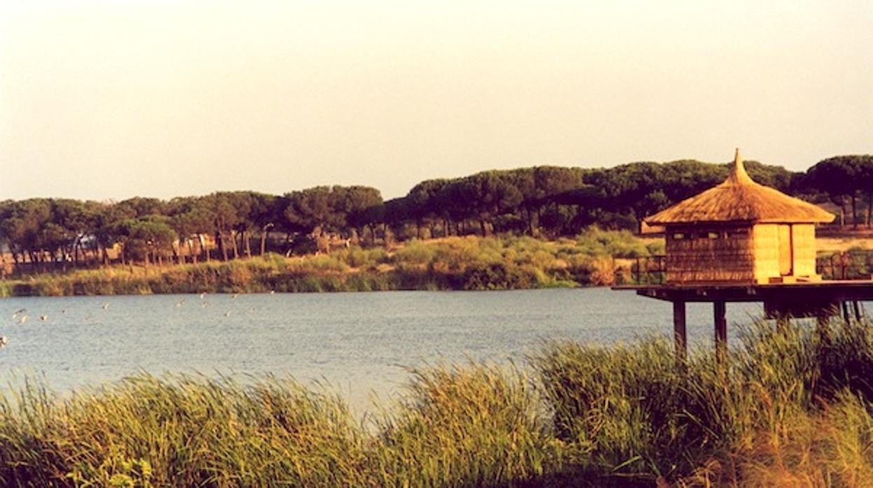 Visa de la Laguna Primera de Palos