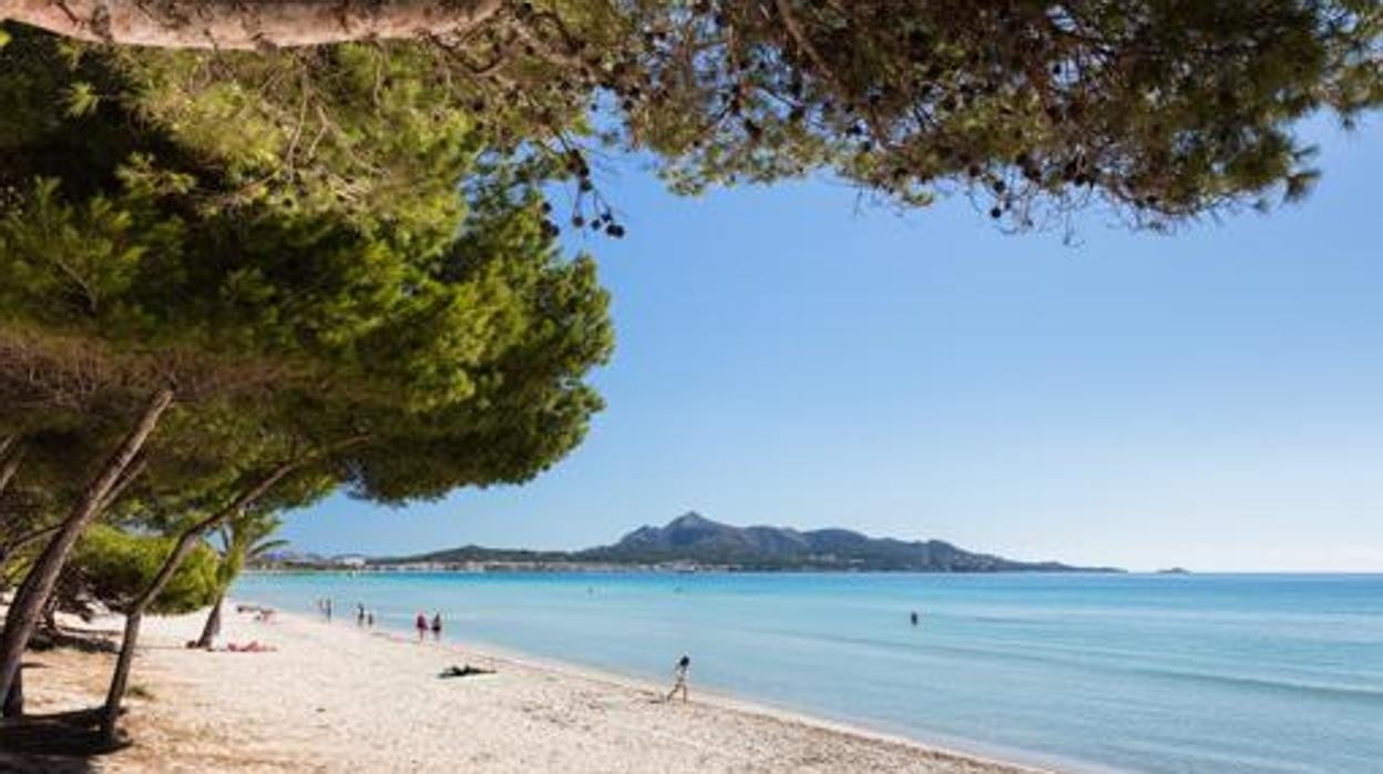 Playa de Alcùdia (Mallorca)