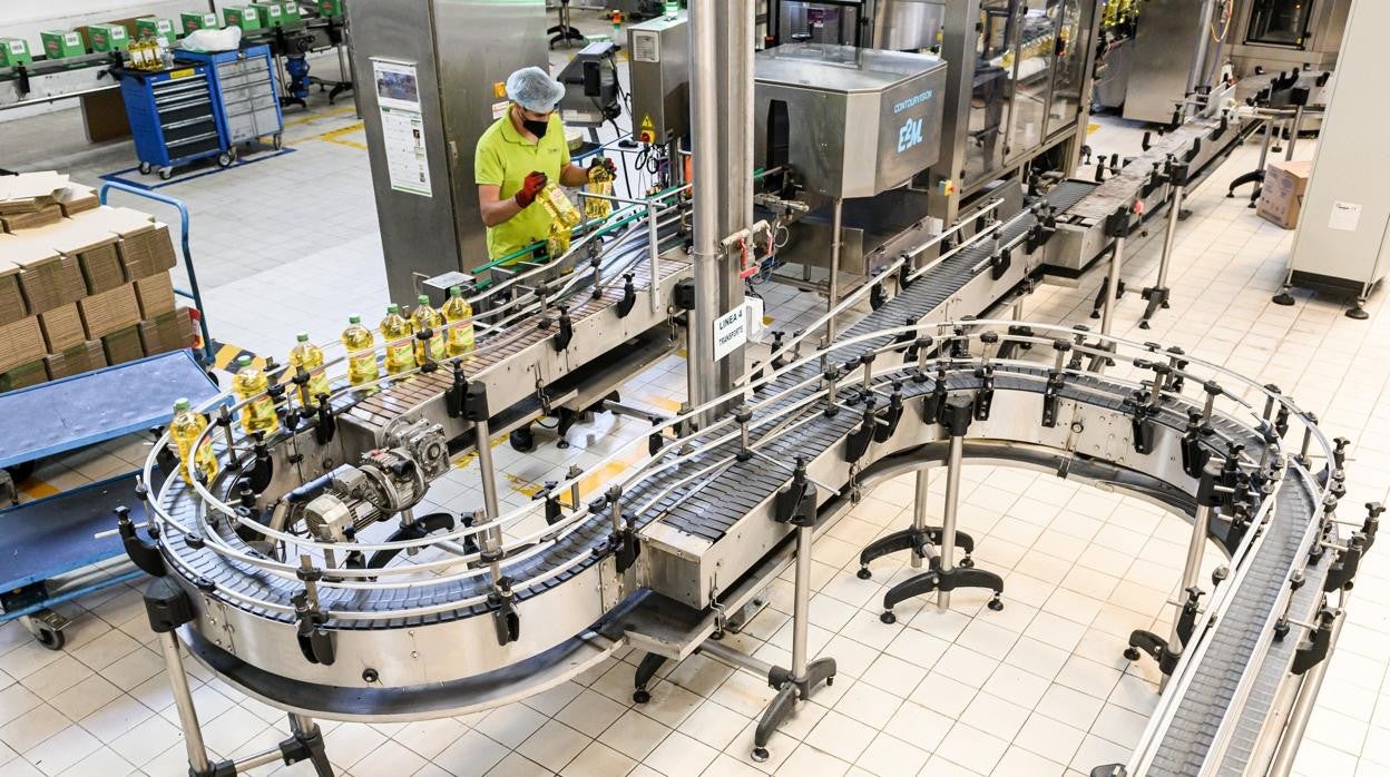 Un trabajador realizando tareas de envasado en la planta de Deoleo en Alcolea