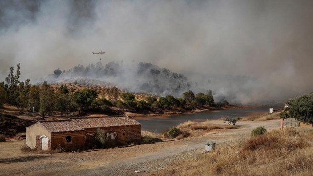 Un incendio forestal en Huelva obliga a desalojar viviendas en Villarrasa y corta la carretera A-493