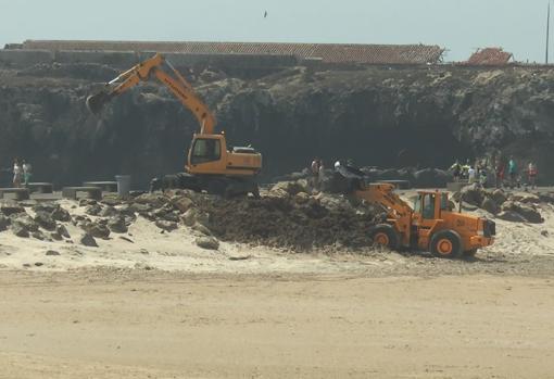 Retirada de la playa del alga asiática con máquinas excavadoras para ser limpiada