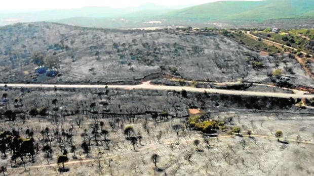 Testimonios del incendio de Alcaracejos: «El fuego se ha llevado la ilusión de toda una vida»