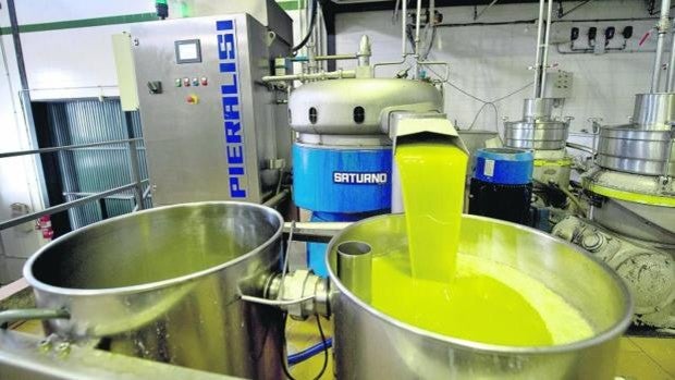 ¿Cuánto aceite de oliva gasta un consumidor de Córdoba cada año y en qué lo emplea?