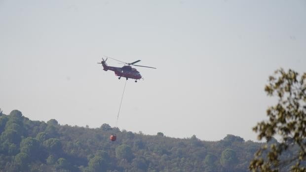 Bronca política por la calificación del fuego de Alcaracejos que lo excluye de las ayudas