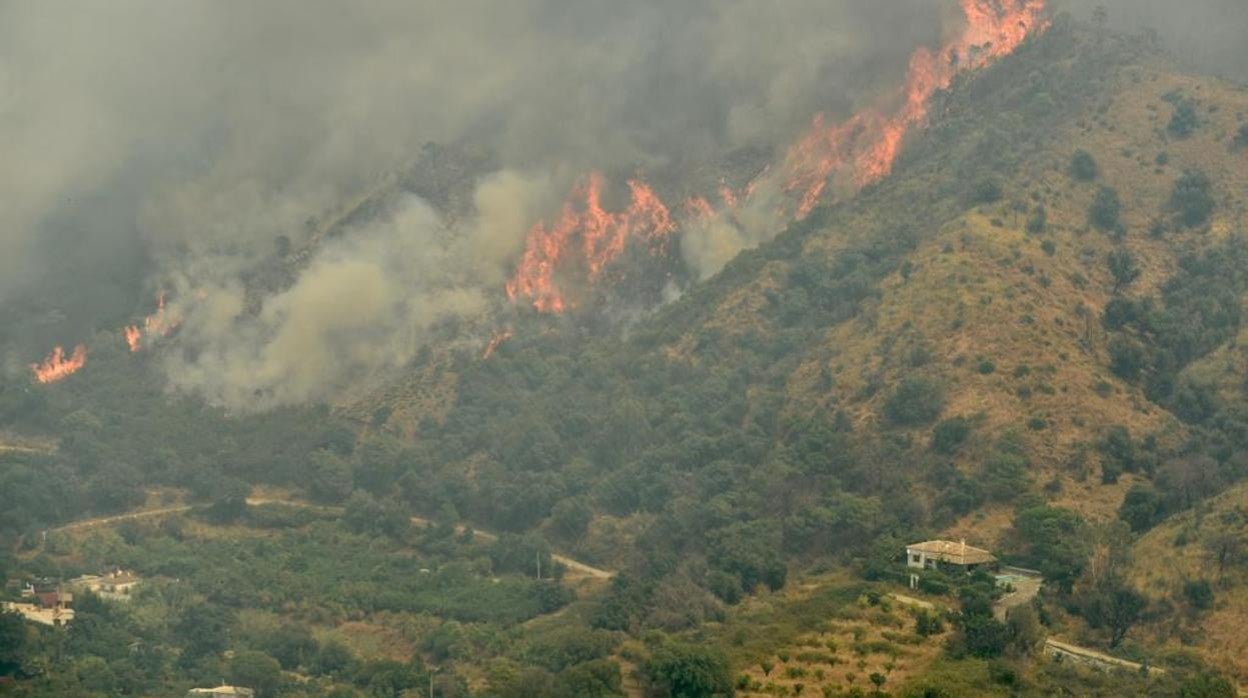 Las llamas, devorando el monte en Sierra Bermeja