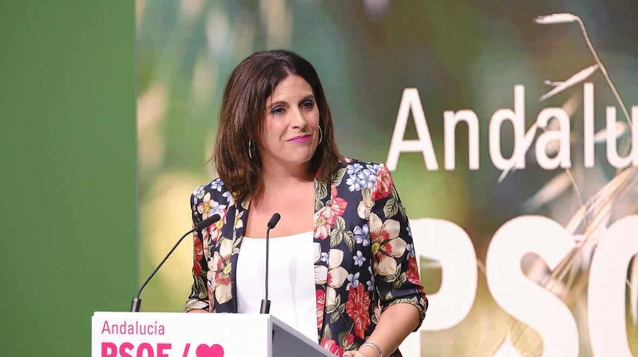 La portavoz socialista en el Parlamento, Ángeles Férriz