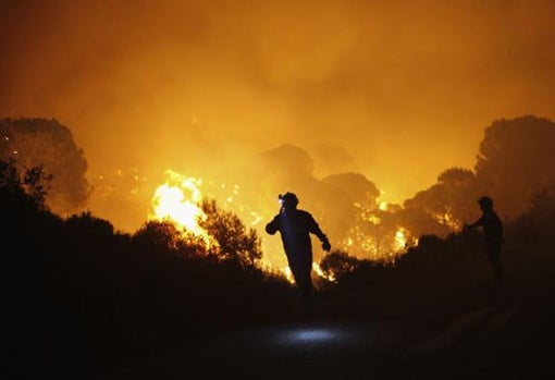 El incendio afectó a varios municipios de la provincia malagueña