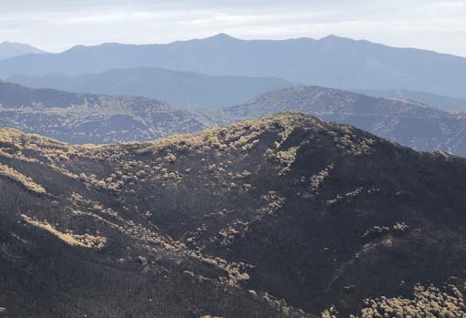 Montañas quemadas por el incendio en Sierra Bermeja
