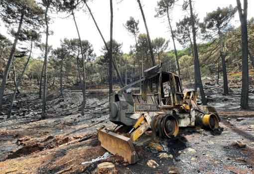 Maquinaria quemada en Sierra Bermeja