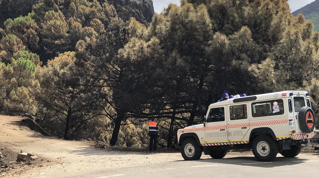 Uno de los caminos de acceso a la 'zona cero' del incendio