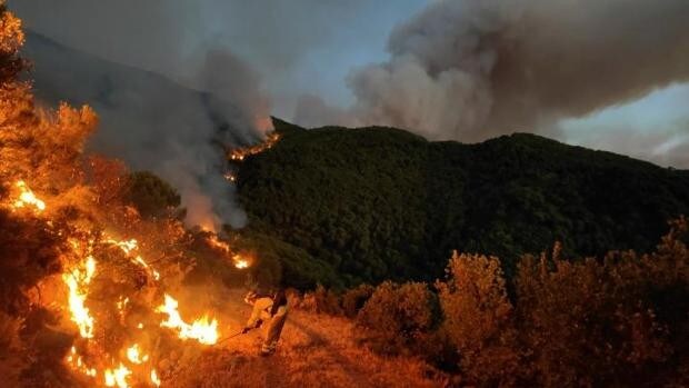 Las ayudas para prevenir los incendios forestales en Andalucía tardan dos años en llegar