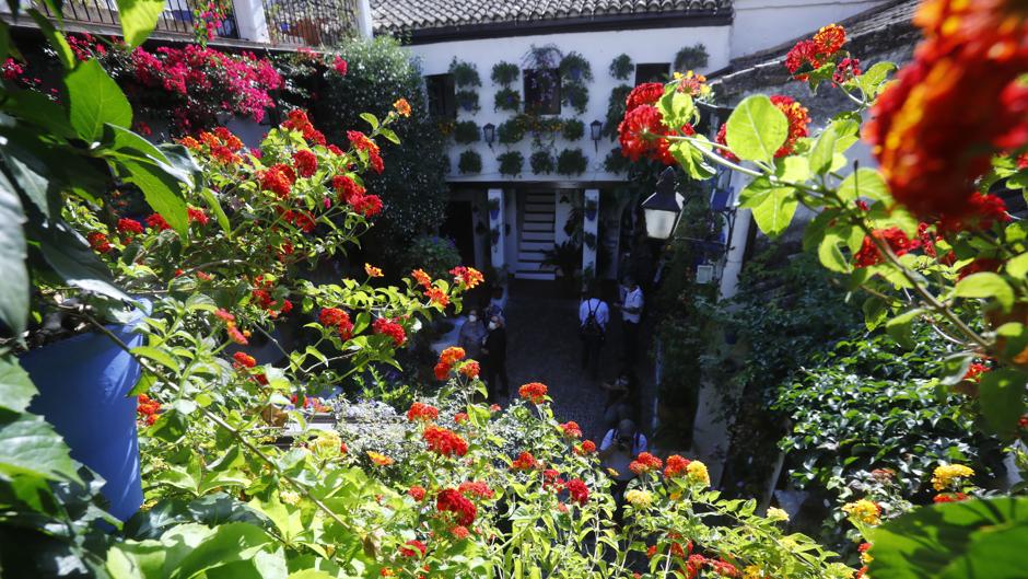 Centenario de los Patios | Córdoba luce en otoño con cualquier color
