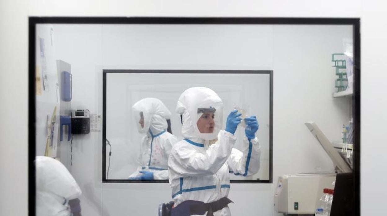 Científicos analizan el coronavirus en el interior de un laboratorio