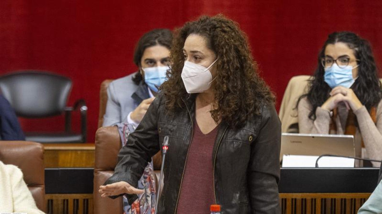 La portavoz de Unidas Podemos, Inmaculada Nieto, en el Pleno