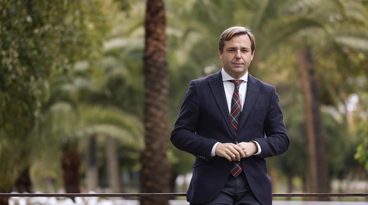 El coordinador general del PP andaluz y delegado de la Junta en Córdoba, Antonio Repullo