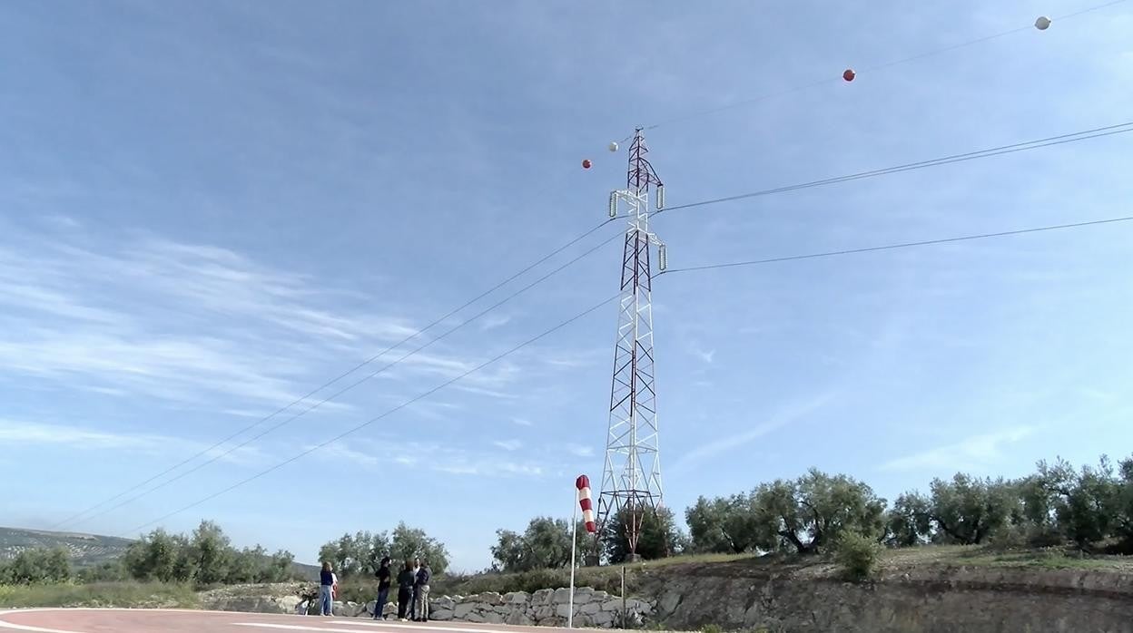 Línea de alta tensión por los terrenos donde se construirá el hospital público de Lucena