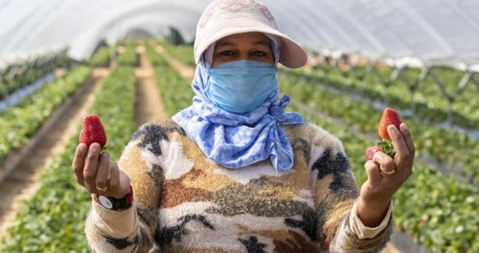 Una fresera marroquí en una explotación agrícola de Almonte
