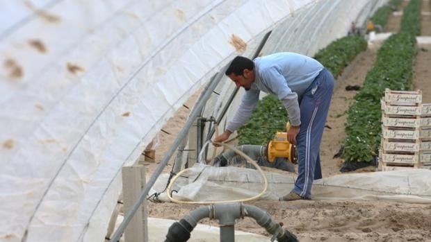 El Gobierno central olvida su decreto ley de llevar agua al entorno de Doñana