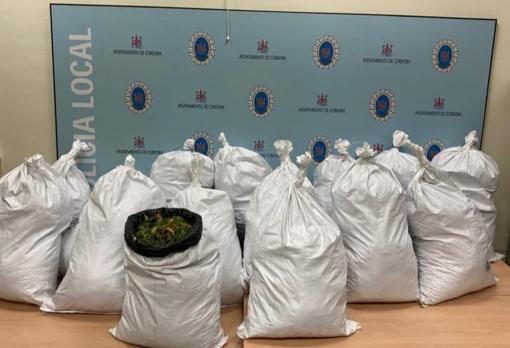 Sacos con las plantas de cánnabis halladas en el incendio de una nave en Tecnocórdoba