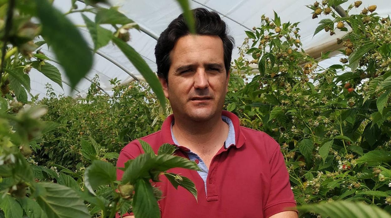 Macías cree que los cultivos hidropónicos no son la panacea porque el agua que recircula arrastra sales