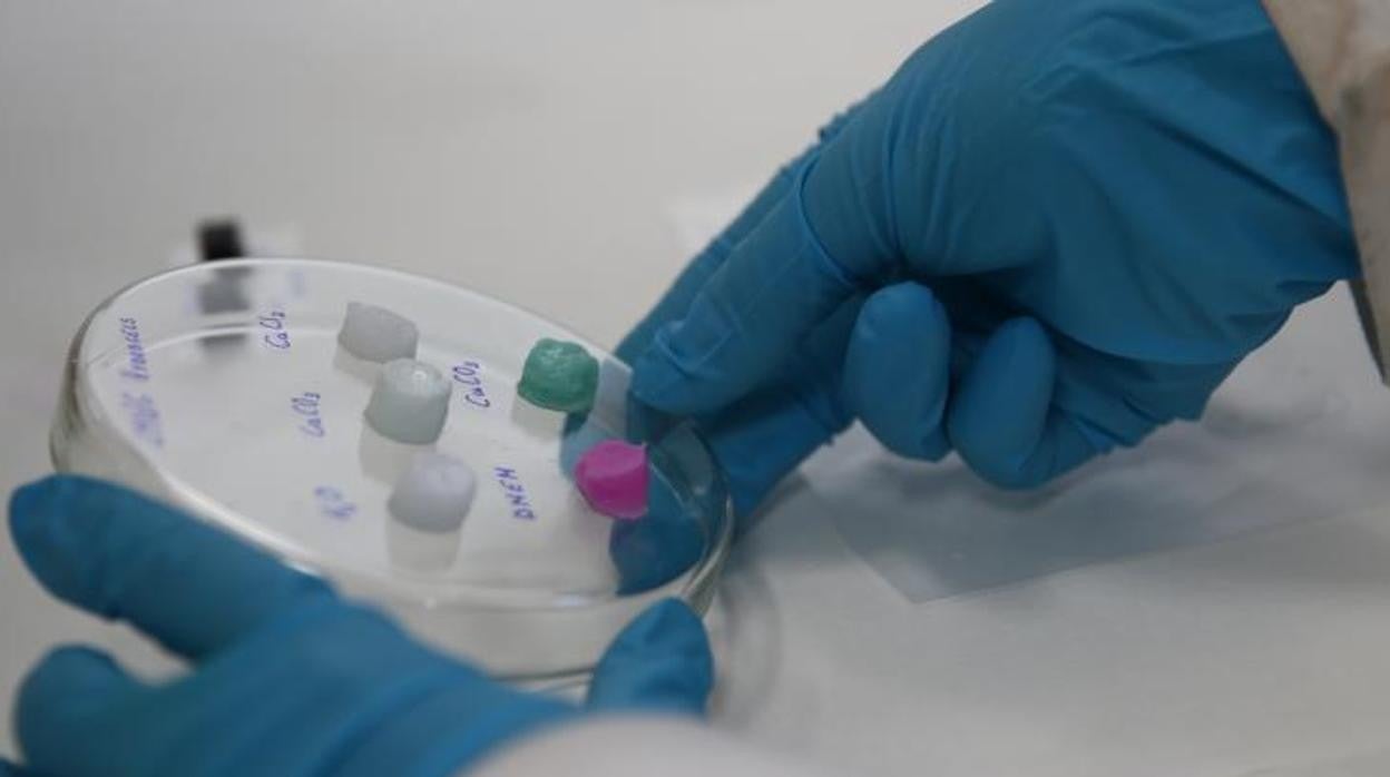 Investigadores de élite vuelven a Andalucía con un plan para captar talento