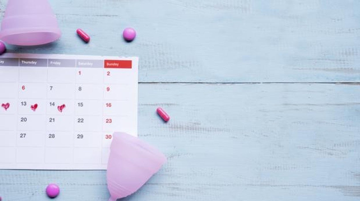 El ciclo menstrual, un factor decisivo en el funcionamiento del cerebro femenino según científicas de la UGR