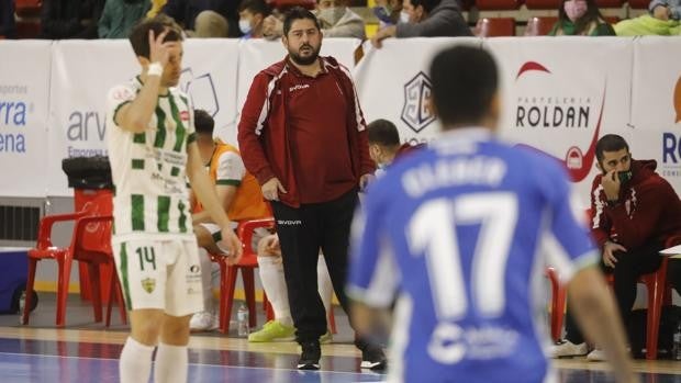 El Córdoba Patrimonio inicia este viernes ante el Palma Futsal un calendario con cuatro partidos en 11 días