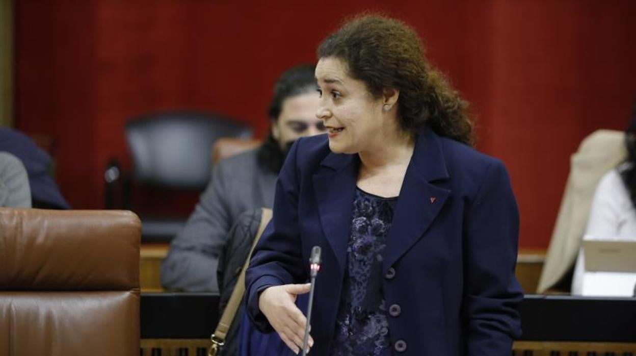 La portavoz de Unidas Podemos, Inmaculada Nieto, en su escaño en el Parlamento