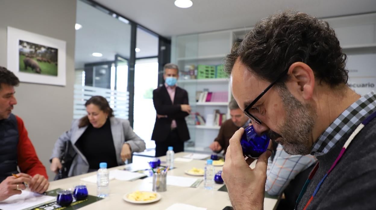 Jurado en la cata de aceites del concurso a la calidad de la Diputación de Córdoba