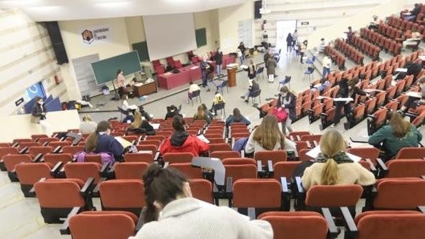 Selectividad 2022 | Todos los grados y sus plazas que puedes estudiar en la Universidad de Córdoba