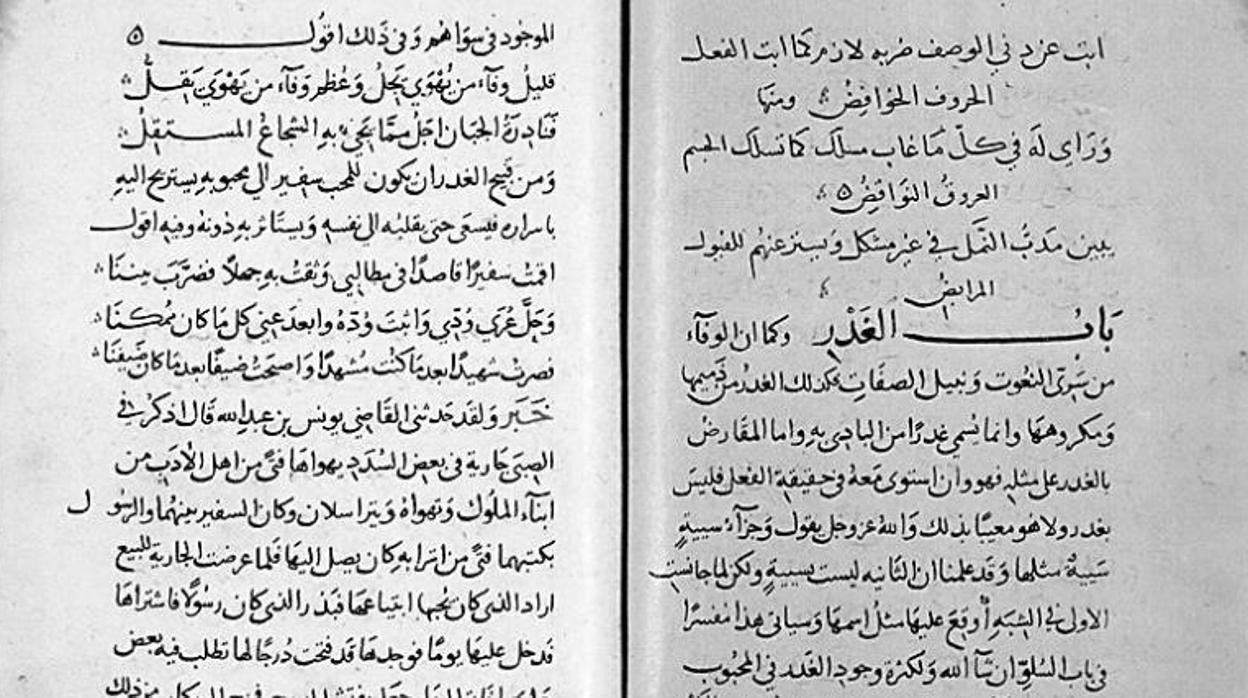 Manuscrito con la única copia original de 'El collar de la paloma', conservado en la Colección Warneriana de la Universidad de Leiden, en Países Bajos