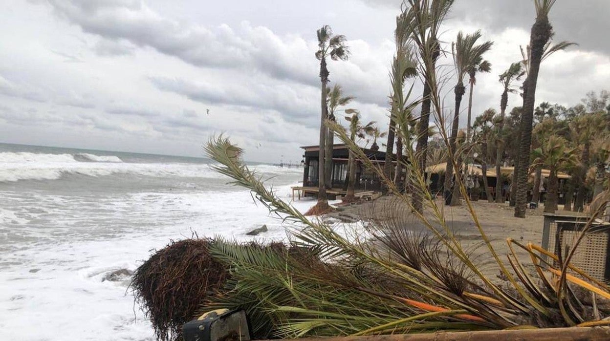 Daños del último temporal en Marbella