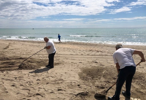 Lorenzo y Manuel recuperando los caminos de su parcela de hamacas
