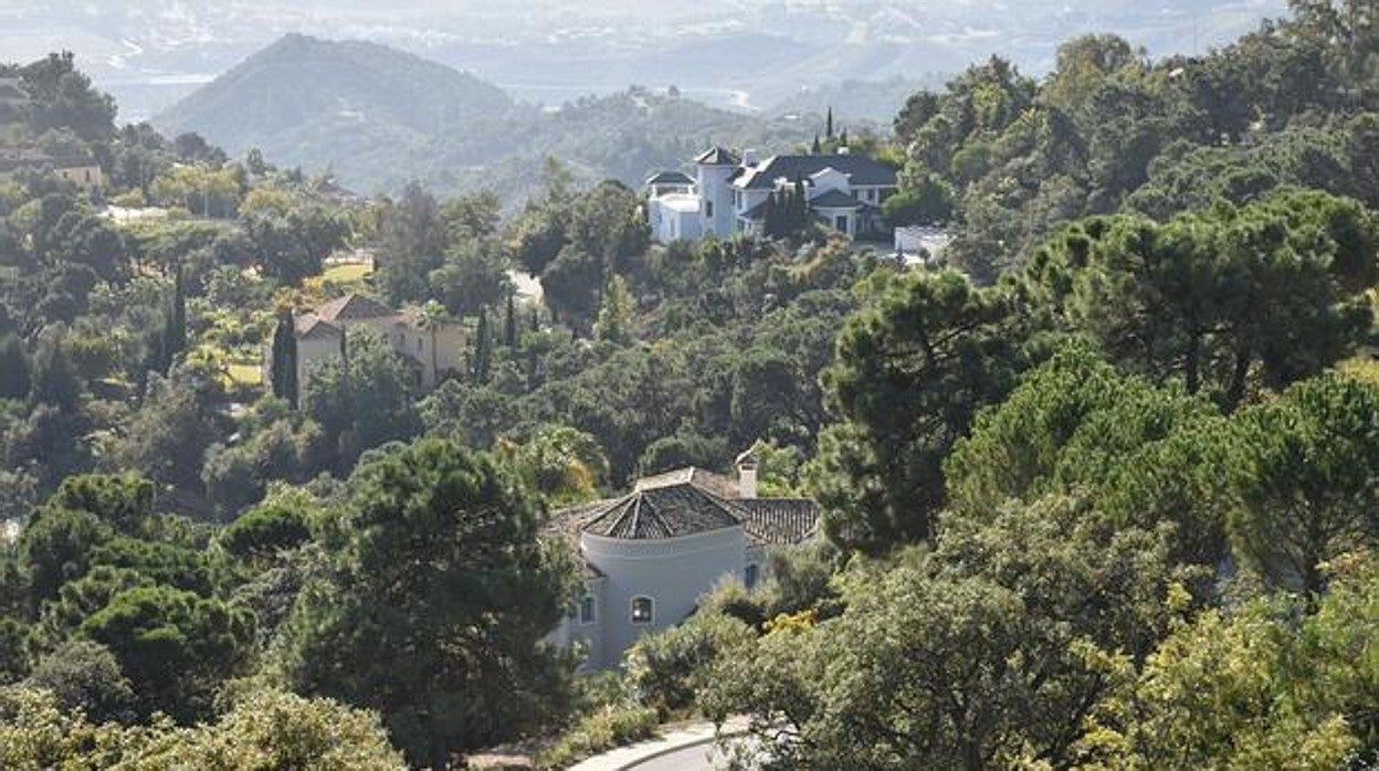 Vista del bosque de La Zagaleta en el que se encuentra algunas de las mansiones más caras de Europa