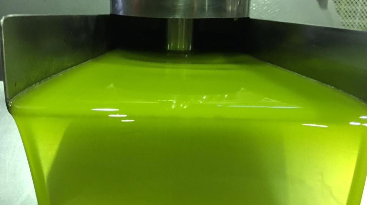 Aceite de oliva producido por una cooperativa de Jaén