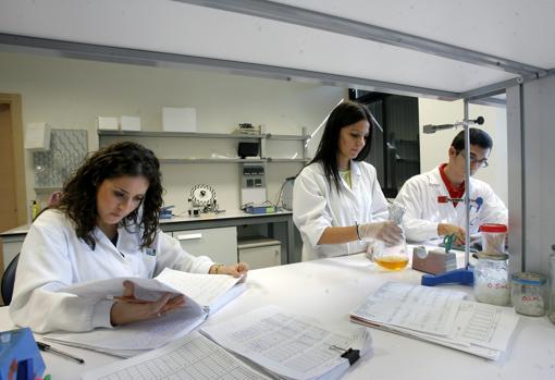 Trabajadoras de Canvax en sus instalaciones, en una imagen de archivo