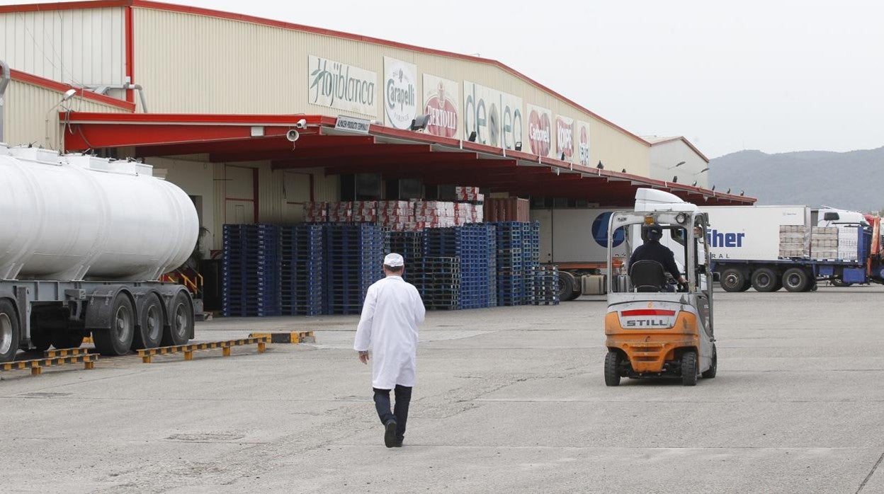 Instalaciones de la empresa en Alcolea