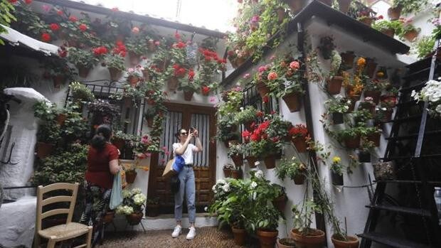 Patios de Córdoba | Los propietarios alaban la llegada de «un turismo de calidad»