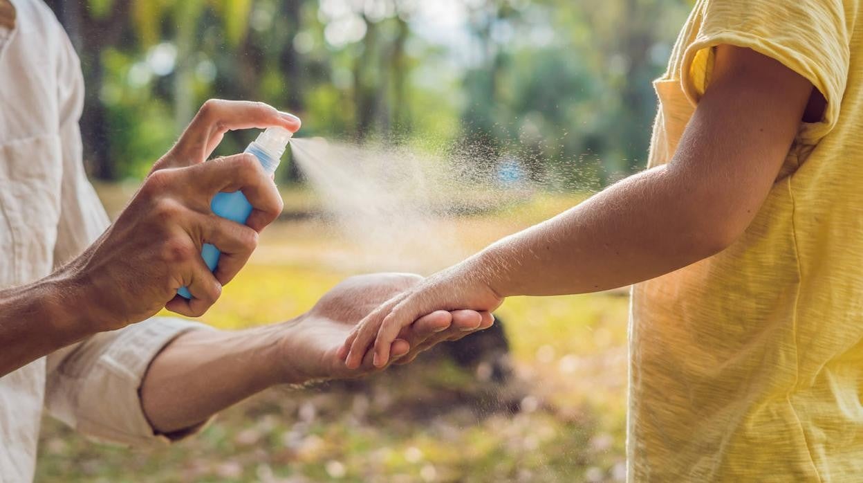 Es recomendable el uso de repelentes con citronela