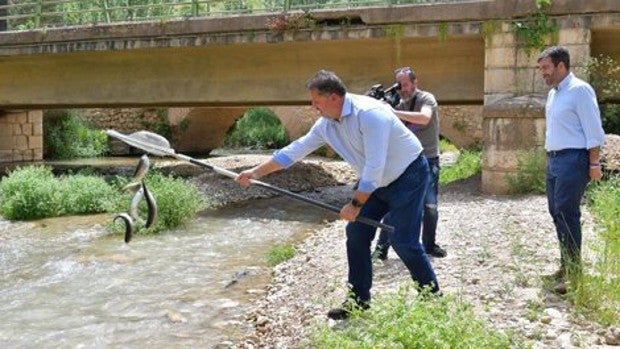 Nueva suelta de truchas arcoíris en Granada