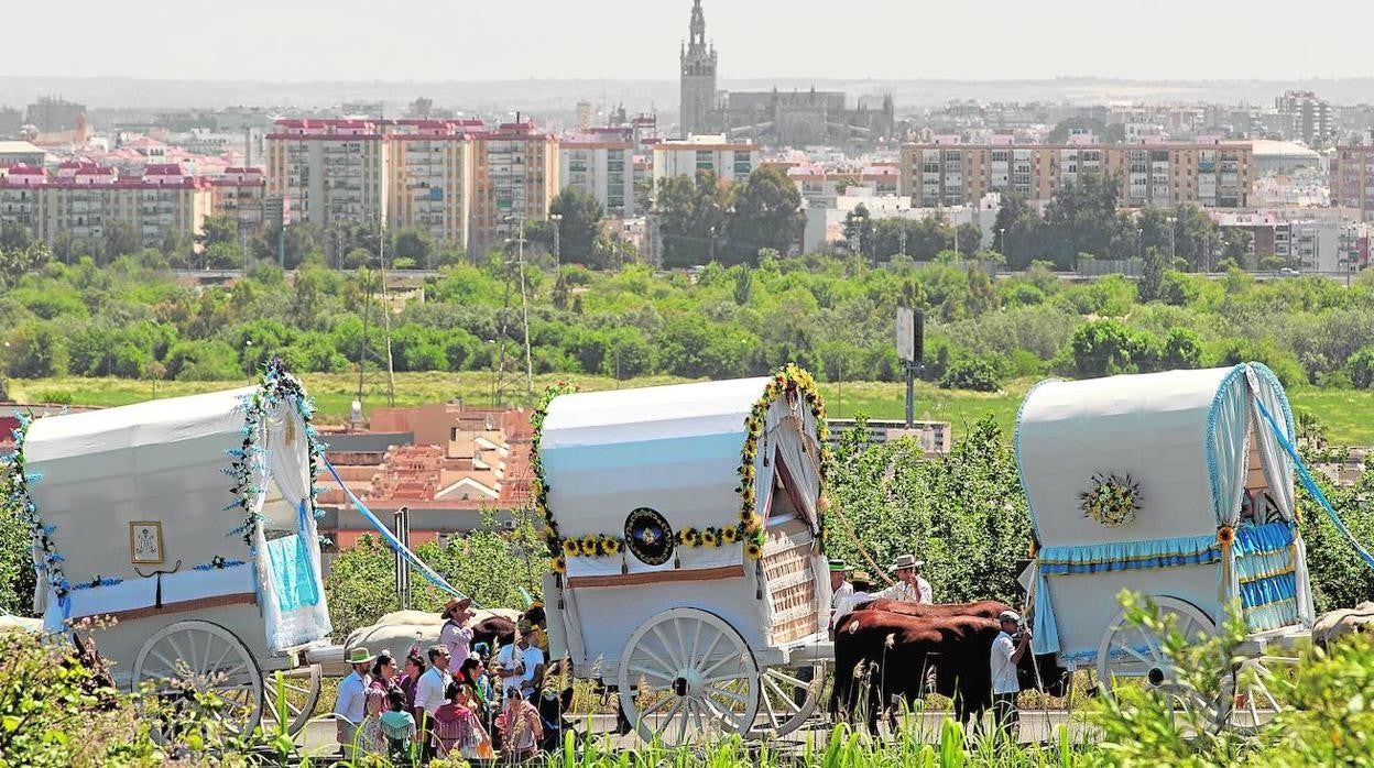 Carretas de la Hermandad del Rocío de Triana con Sevilla al fondo