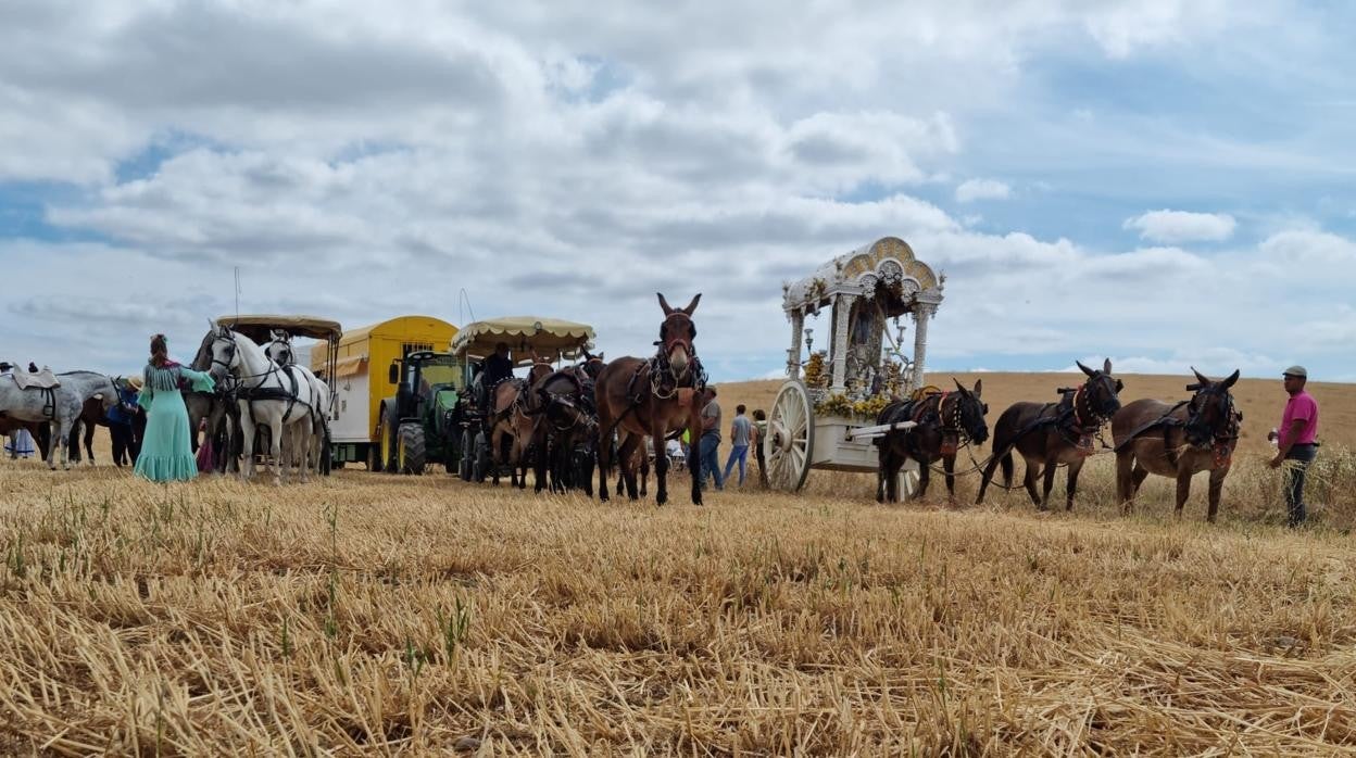 En la imagen, camino de la la hermandad de Córdoba. En el vídeo, la salve íntegra cantada junto a las hermanas de la Cruz en Fuentes de Andalucía