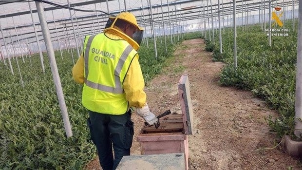 Dos detenidos en Almería por robar 22 colmenas