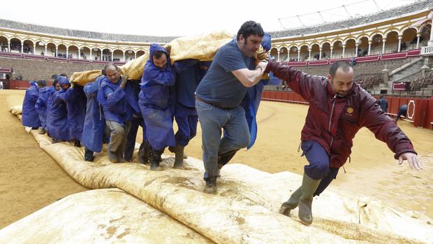 Operarios retiran la lona que protege el albero de la plaza de toros