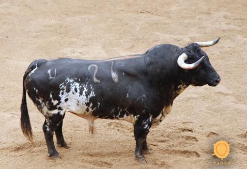 Toro que lidiará en segundo lugar Lama de Góngora
